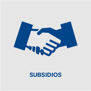 Subsidios